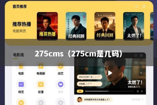275cms(275cm是几码)