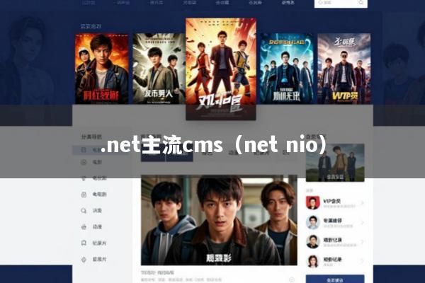 .net主流cms(net nio)