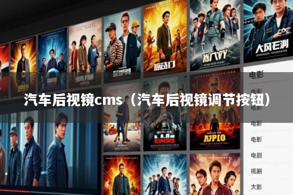 汽车后视镜cms(汽车后视镜调节按钮)