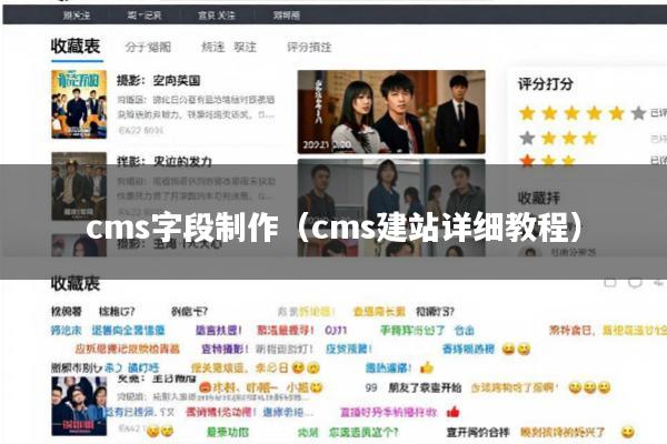 cms字段制作(cms建站详细教程)